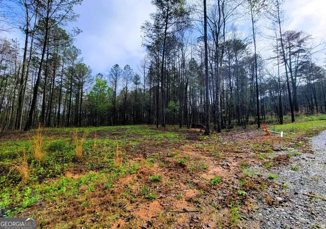 Photo 2 of Land for sale at 191 Mountaingate Way, Ellijay, GA 30536 | MLS# 10738957 | Listing updated on 2026-05-06