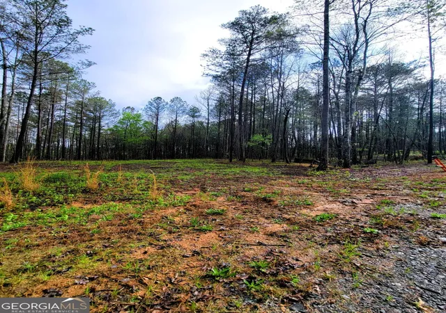 Photo 3 of Land for sale at 191 Mountaingate Way, Ellijay, GA 30536 | MLS# 10738957 | Listing updated on 2026-05-06