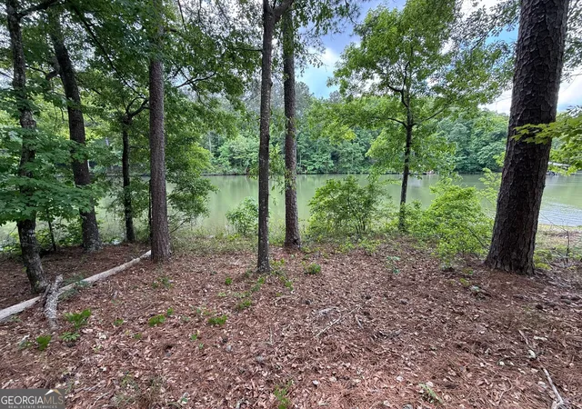 Homes for sale in Sparta, GA | 0 Hickory Pass, Sparta, GA 31087 | MLS# 10799899