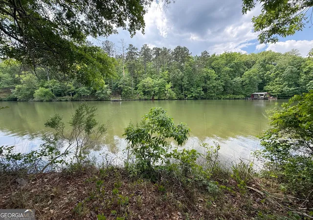 Homes for sale in Sparta, GA | 0 Hickory Pass, Sparta, GA 31087 | MLS# 10799899