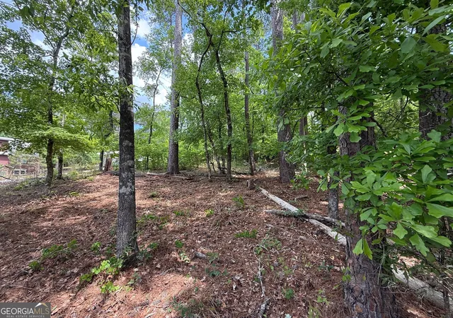 Homes for sale in Sparta, GA | 0 Hickory Pass, Sparta, GA 31087 | MLS# 10799899