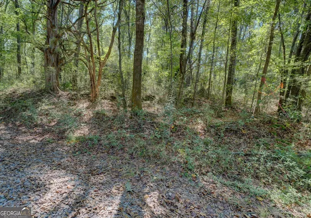 Homes for sale in Mansfield, GA | 0 Rocky Creek Rd, Mansfield, GA 30055 | MLS# 10620872