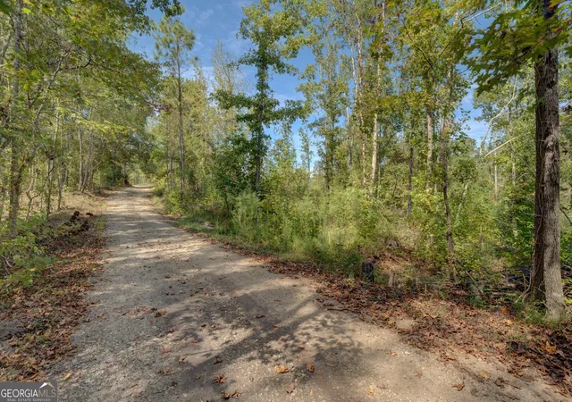 Homes for sale in Mansfield, GA | 0 Rocky Creek Rd, Mansfield, GA 30055 | MLS# 10620872