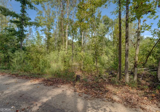 3rd image of 0 Rocky Creek Rd, Mansfield, GA 30055 | MLS# 10620872
