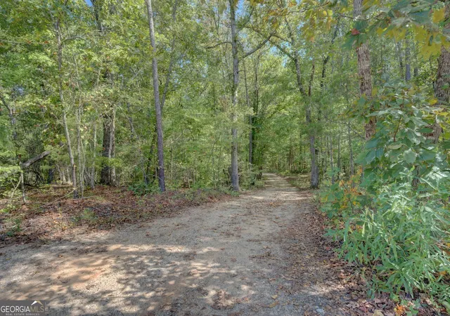 4th image of 0 Rocky Creek Rd, Mansfield, GA 30055 | MLS# 10620872