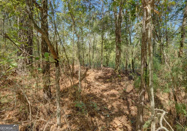 5th image of 0 Rocky Creek Rd, Mansfield, GA 30055 | MLS# 10620872