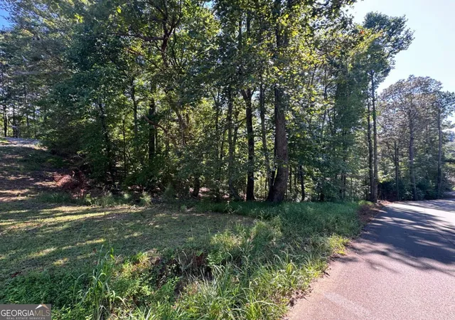 Photo 1 of Land for sale at 25 Ac Mango Ln #732+ 733, Ellijay, GA 30540 | MLS# 10872864 | Listing updated on 2026-10-28