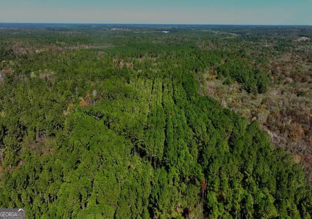 1st image of 0 Anderson Rd #TRACT 1, Statesboro, GA 30458 | MLS# 10700092