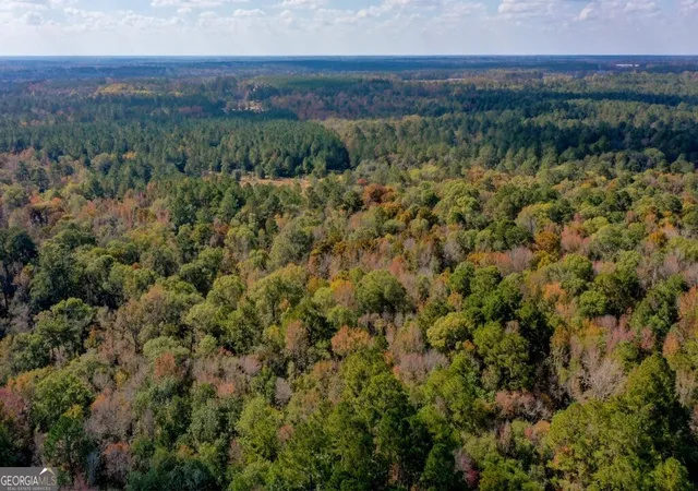 31st image of 0 Anderson Rd #TRACT 1, Statesboro, GA 30458 | MLS# 10700092