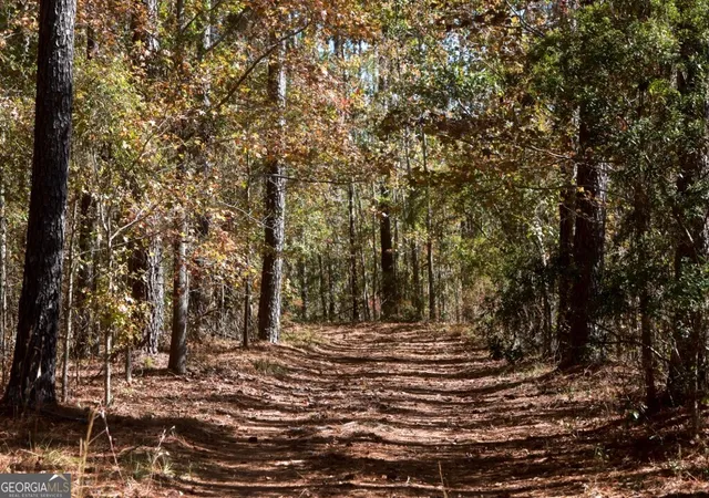 Photo 3 of Land for sale at 0 Anderson Rd, Statesboro, GA 30458 | MLS# 10700092 | Listing updated on 2026-08-15