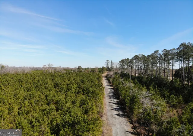 4th image of 271 Marchants Dairy Rd, Rhine, GA 31077 | MLS# 10710153