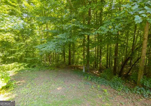 35th image of 196 Autumn Dr, Nicholson, GA 30565 | MLS# 10808699