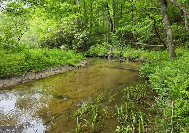 1st image of 409 Harrison Sluder Rd #140, Ellijay, GA 30540 | MLS# 10762302