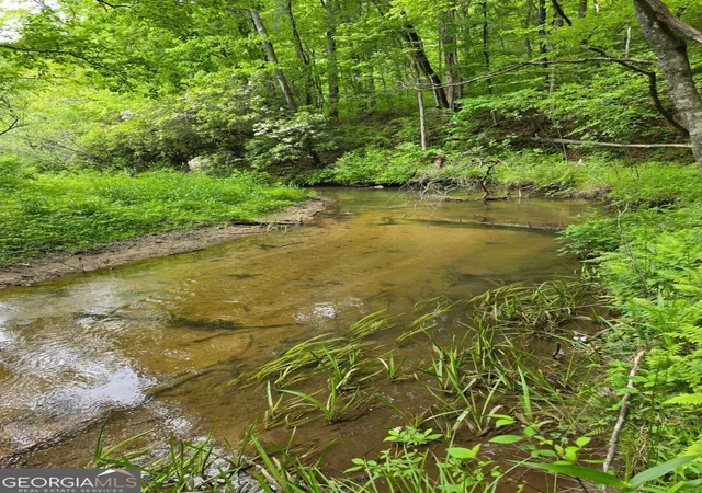 2nd image of 409 Harrison Sluder Rd #140, Ellijay, GA 30540 | MLS# 10762302