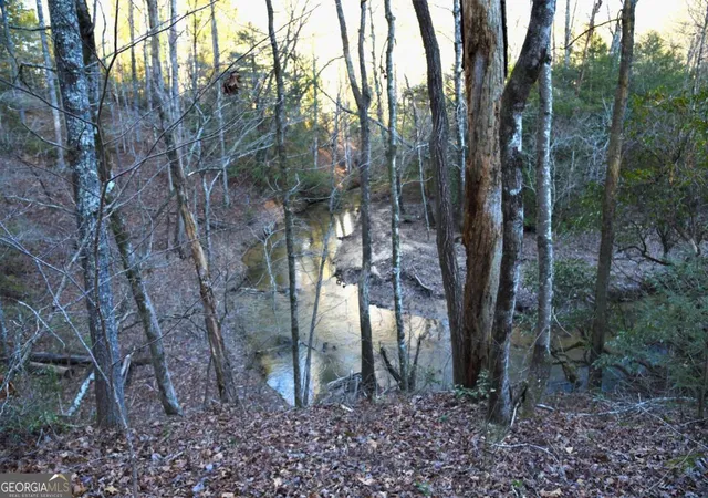 33rd image of 409 Harrison Sluder Rd #140, Ellijay, GA 30540 | MLS# 10762302