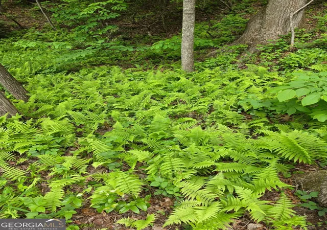 3rd image of 409 Harrison Sluder Rd #140, Ellijay, GA 30540 | MLS# 10762302