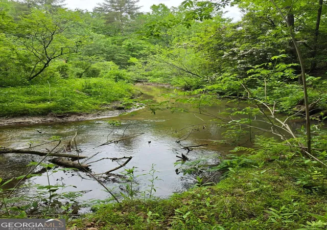 5th image of 409 Harrison Sluder Rd #140, Ellijay, GA 30540 | MLS# 10762302