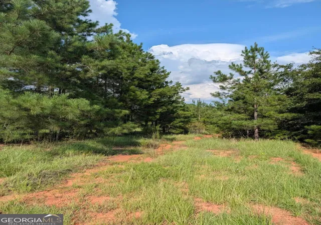 Photo 1 of Land for sale at 0 Nelson Ln, Louisville, GA 30434 | MLS# 10834215 | Listing updated on 2026-09-10