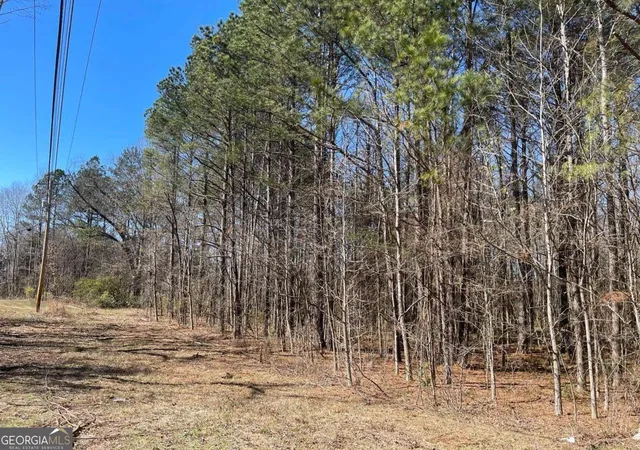 Photo 2 of Land for sale at 0 Brown Brg Rd, Covington, GA 30014 | MLS# 10706119 | Listing updated on 2026-07-11