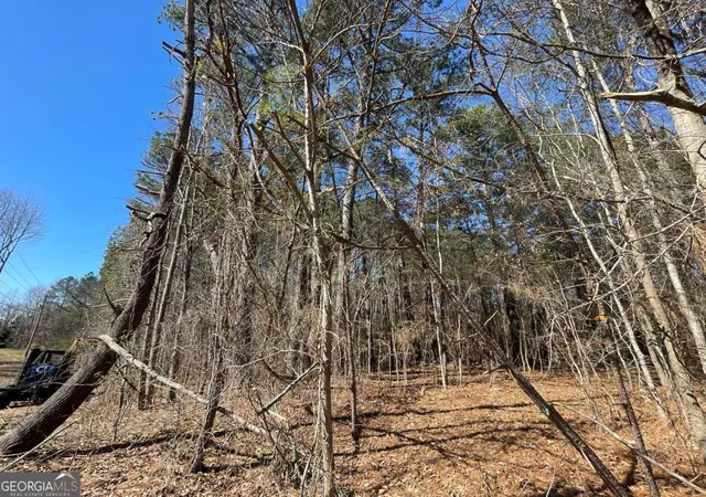 Photo 3 of Land for sale at 0 Brown Brg Rd, Covington, GA 30014 | MLS# 10706119 | Listing updated on 2026-07-11