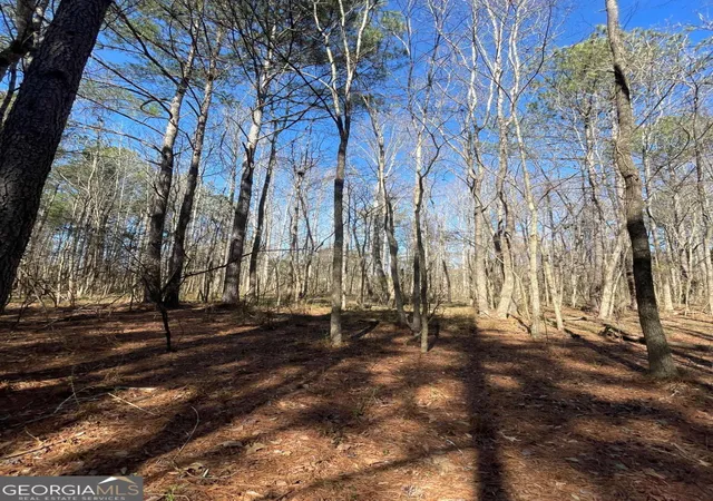 Photo 3 of Land for sale at 0 Brown Brg Rd, Covington, GA 30014 | MLS# 10706119 | Listing updated on 2026-07-11