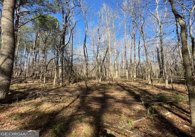 Photo 4 of Land for sale at 0 Brown Brg Rd, Covington, GA 30014 | MLS# 10706119 | Listing updated on 2026-07-11