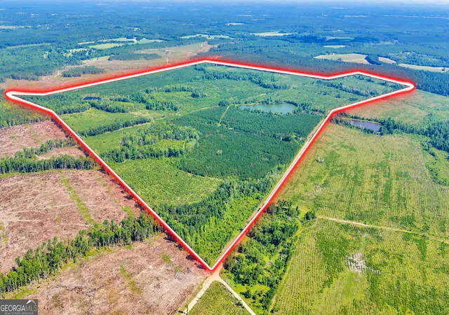 1st image of Clifford Bishop Chapel Church Rd, Swainsboro, GA 30401 | MLS# 10809711