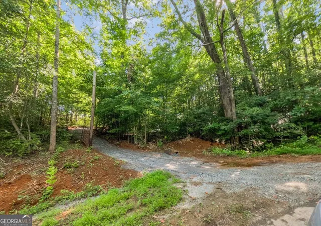 3rd image of Lot 1 & 2 The Bear Blvd, Tamassee, SC 29686 | MLS# 10827037