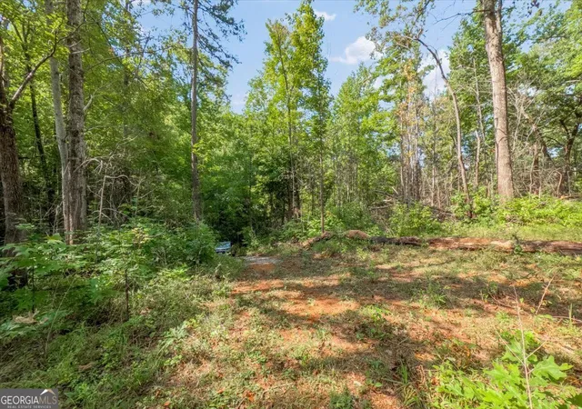 4th image of Lot 1 & 2 The Bear Blvd, Tamassee, SC 29686 | MLS# 10827037
