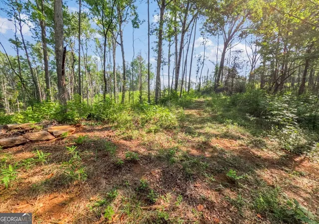 5th image of Lot 1 & 2 The Bear Blvd, Tamassee, SC 29686 | MLS# 10827037
