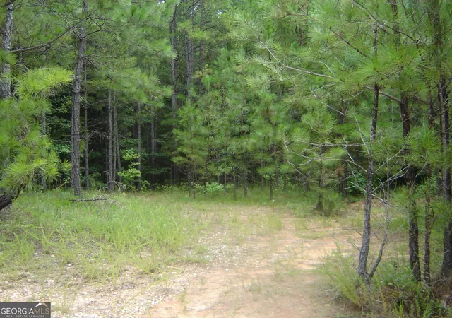 4th image of 0 Covington Way, Lanett, AL 36863 | MLS# 10819463