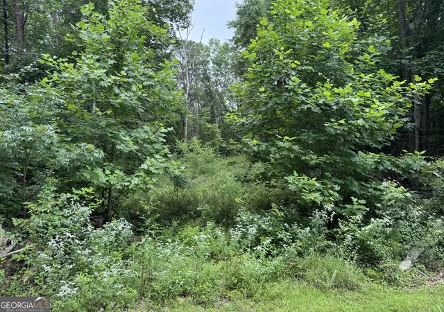 Photo 3 of Land for sale at 0 Owltown Rd, Ellijay, GA 30536 | MLS# 10808963 | Listing updated on 2026-08-03