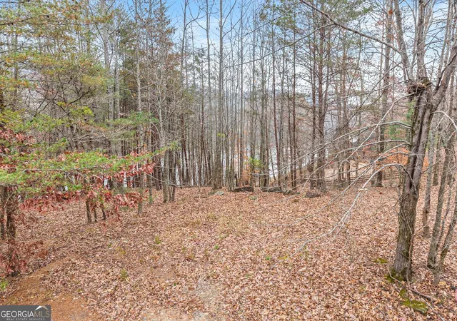 Photo 3 of Land for sale at 0 S Laceola Rd, Cleveland, GA 30528 | MLS# 10648303 | Listing updated on 2026-08-20