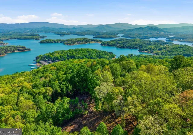 52nd image of 860 Frog Pond Rd #57, Hiawassee, GA 30546 | MLS# 10758475