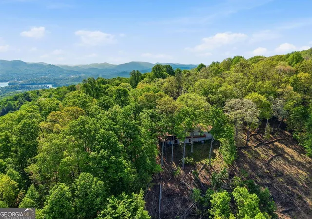 5th image of 860 Frog Pond Rd #57, Hiawassee, GA 30546 | MLS# 10758475