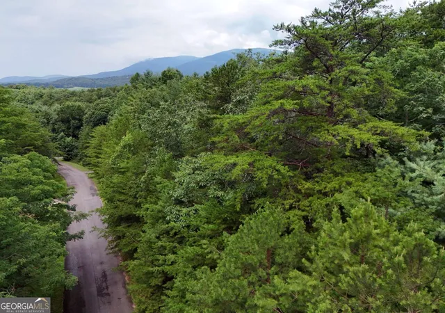 Photo 1 of Land for sale at Lot 5 E Ridge Ln, Ellijay, GA 30536 | MLS# 10806149 | Listing updated on 2026-07-29