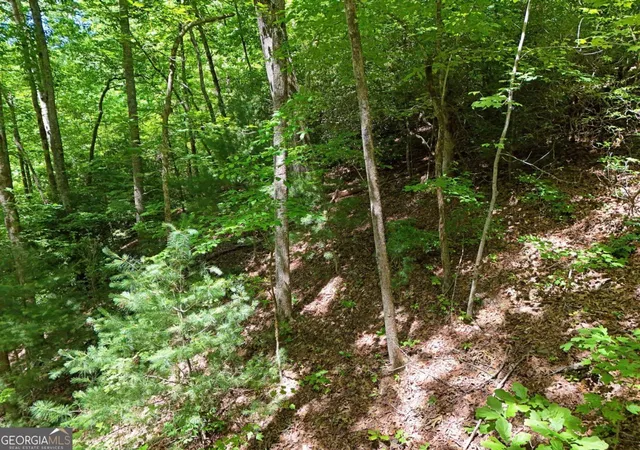 Photo 2 of Land for sale at Lot 12 Hightower Ridge, Hiawassee, GA 30546 | MLS# 10792137 | Listing updated on 2026-07-08