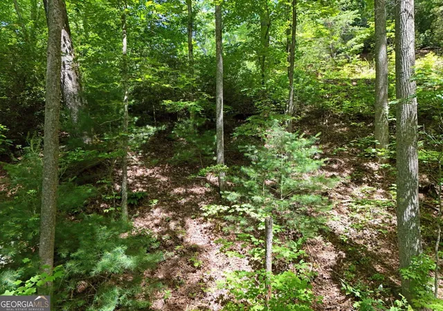 Photo 4 of Land for sale at Lot 12 Hightower Ridge, Hiawassee, GA 30546 | MLS# 10792137 | Listing updated on 2026-07-08