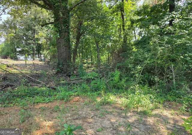 Photo 3 of Land for sale at 100 Thomas Rd, Fort Oglethorpe, GA 30742 | MLS# 10826194 | Listing updated on 2026-08-28