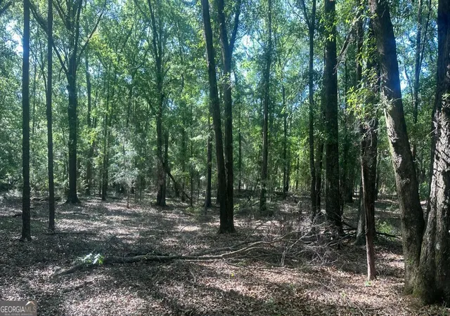 Homes for sale in Sylvania, GA | 4 Country Club Rd #LOT 4, Sylvania, GA 30467 | MLS# 10755788