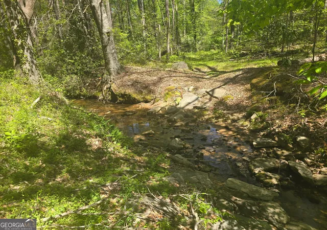 Land for sale at 0 Hilltop Ln, Toccoa, GA 30577 | MLS# 10870738