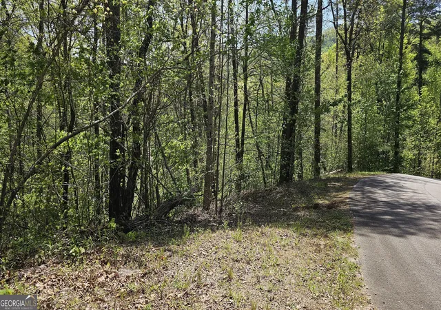 28th image of 0 Heavenly Cir #12, Clayton, GA 30525 | MLS# 10504881