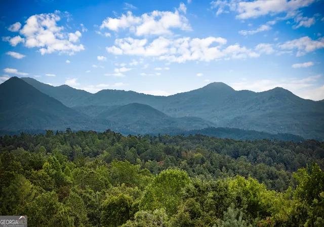 5th image of 132 New Berry St, Ellijay, GA 30540 | MLS# 10786772