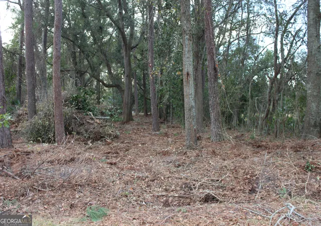 1st image of 0 Lott St S, Lenox, GA 31637 | MLS# 10779081