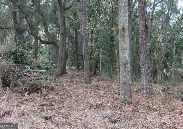 3rd image of 0 Lott St S, Lenox, GA 31637 | MLS# 10779081