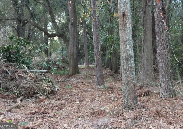 4th image of 0 Lott St S, Lenox, GA 31637 | MLS# 10779081