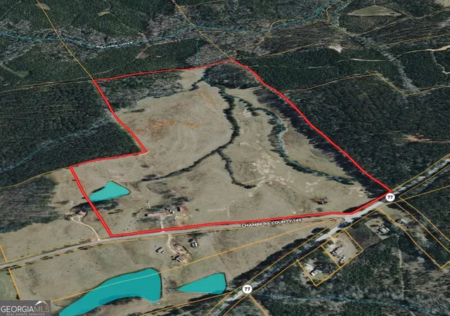 25th image of 1126 County Road 145, Roanoke, AL 36274 | MLS# 10822939