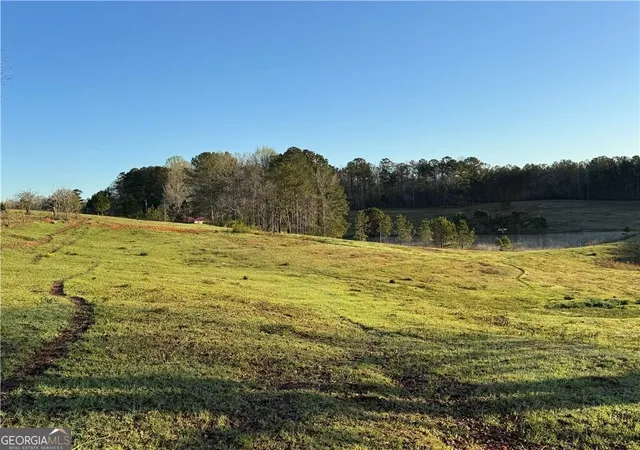 Photo 3 of Land for sale at 1126 County Road 145, Roanoke, AL 36274 | MLS# 10822939 | Listing updated on 2026-09-13