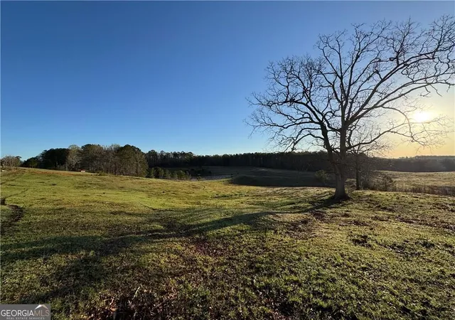 Photo 3 of Land for sale at 1126 County Road 145, Roanoke, AL 36274 | MLS# 10822939 | Listing updated on 2026-09-13