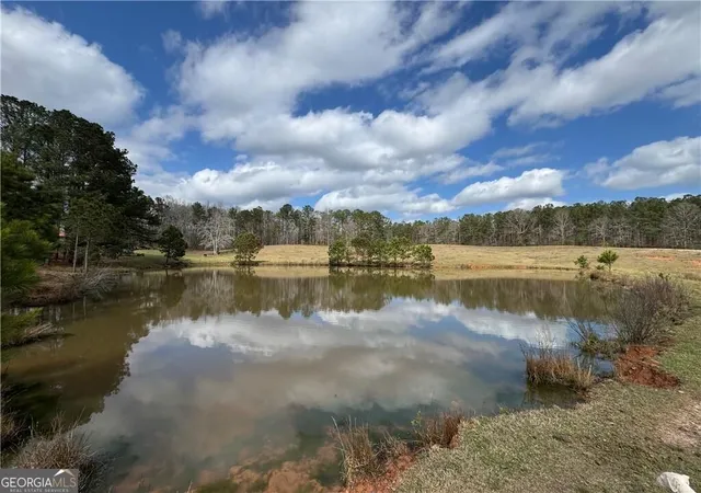 Photo 4 of Land for sale at 1126 County Road 145, Roanoke, AL 36274 | MLS# 10822939 | Listing updated on 2026-09-13